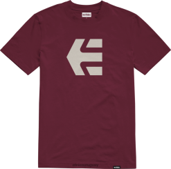 642ZZ100 camiseta con icono de ladrillo etnies Etnies ladrillo