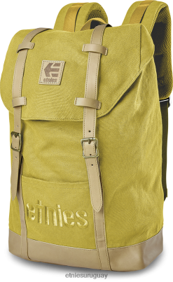 642ZZ819 mochila jameson etnies dorada Etnies oro